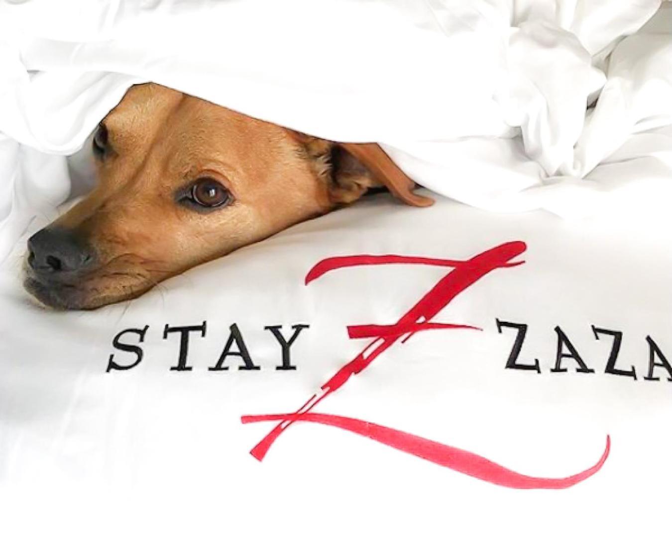 Hotel Zaza أوستن المظهر الخارجي الصورة